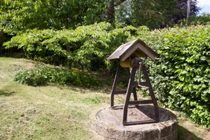 Garden (2)- click for photo gallery